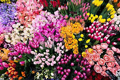 《幻兽帕鲁》主创暗示本作将登陆索尼PS5