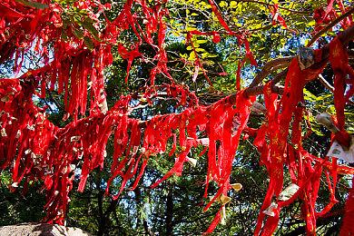 《星露谷物语》千万销量获得巨大成功 作者生活方式并未改变